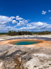A large geothermal hot spring is featured, with vibrant water that transitions from deep blue in the center to green and then bright orange at the edges. The spring is surrounded by a barren, rocky landscape. In the background, there is a line of dense evergreen trees under a bright blue sky filled with some fluffy white clouds.