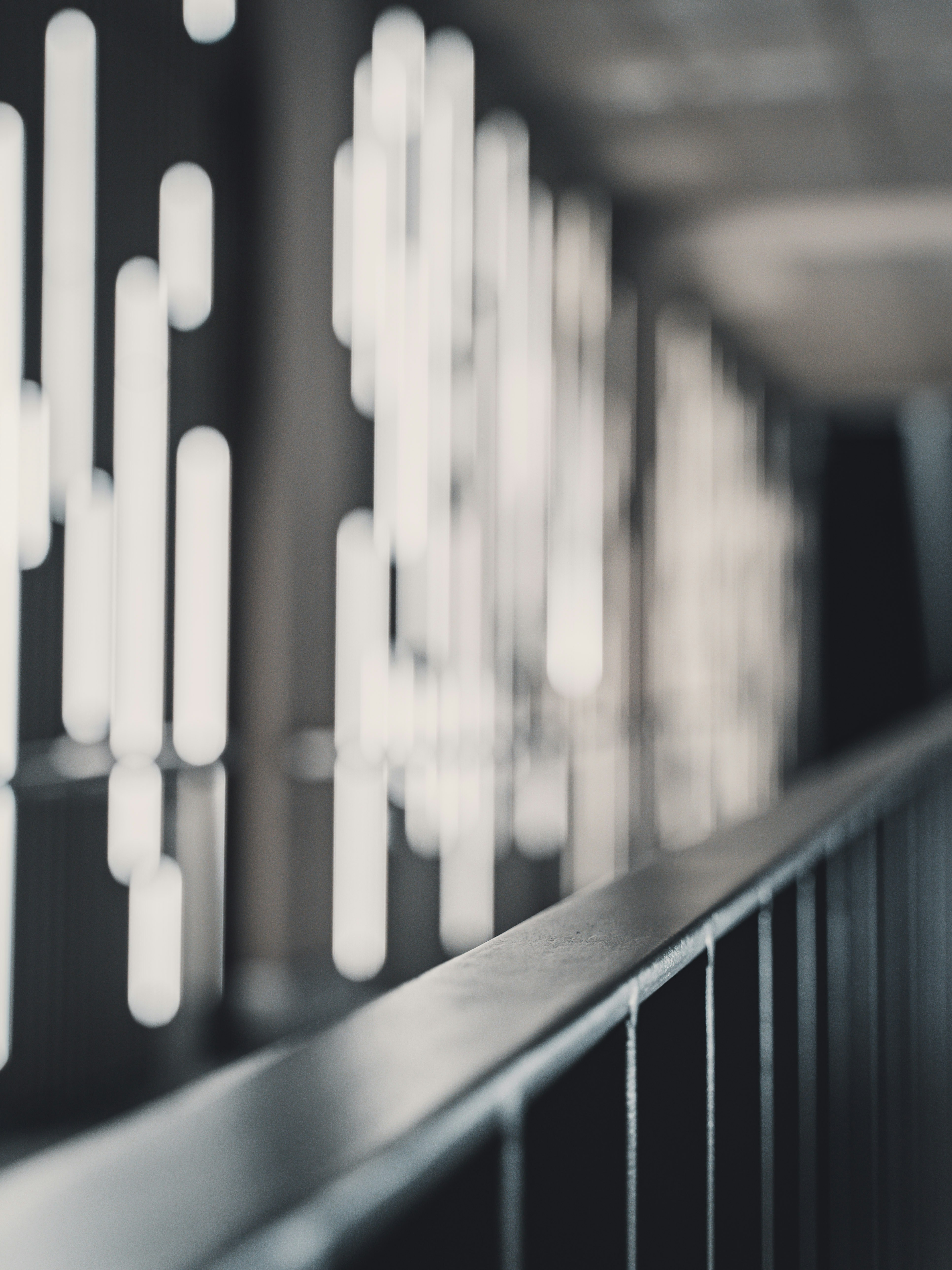 Photo by paulsteuber