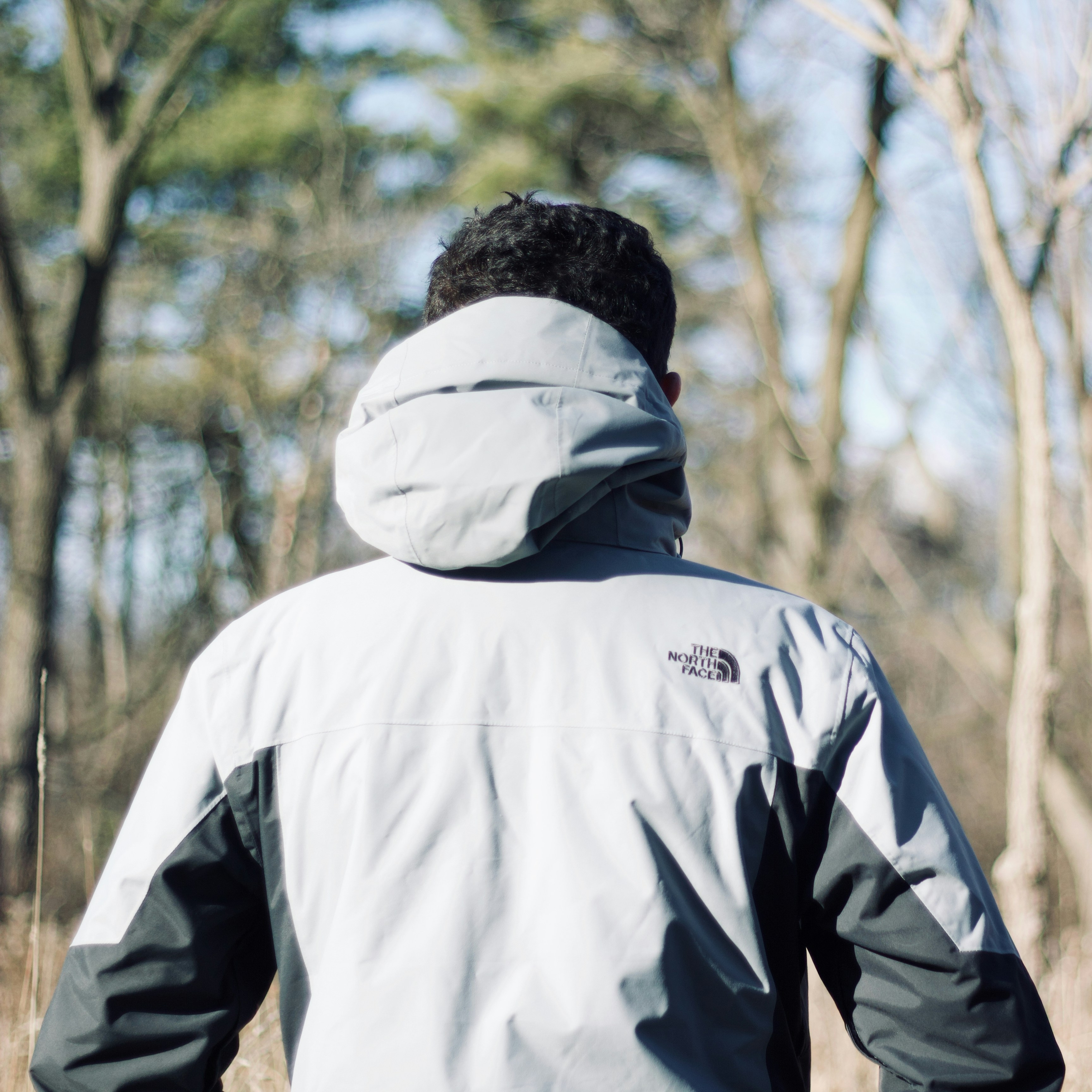 Photo by jaimedantas