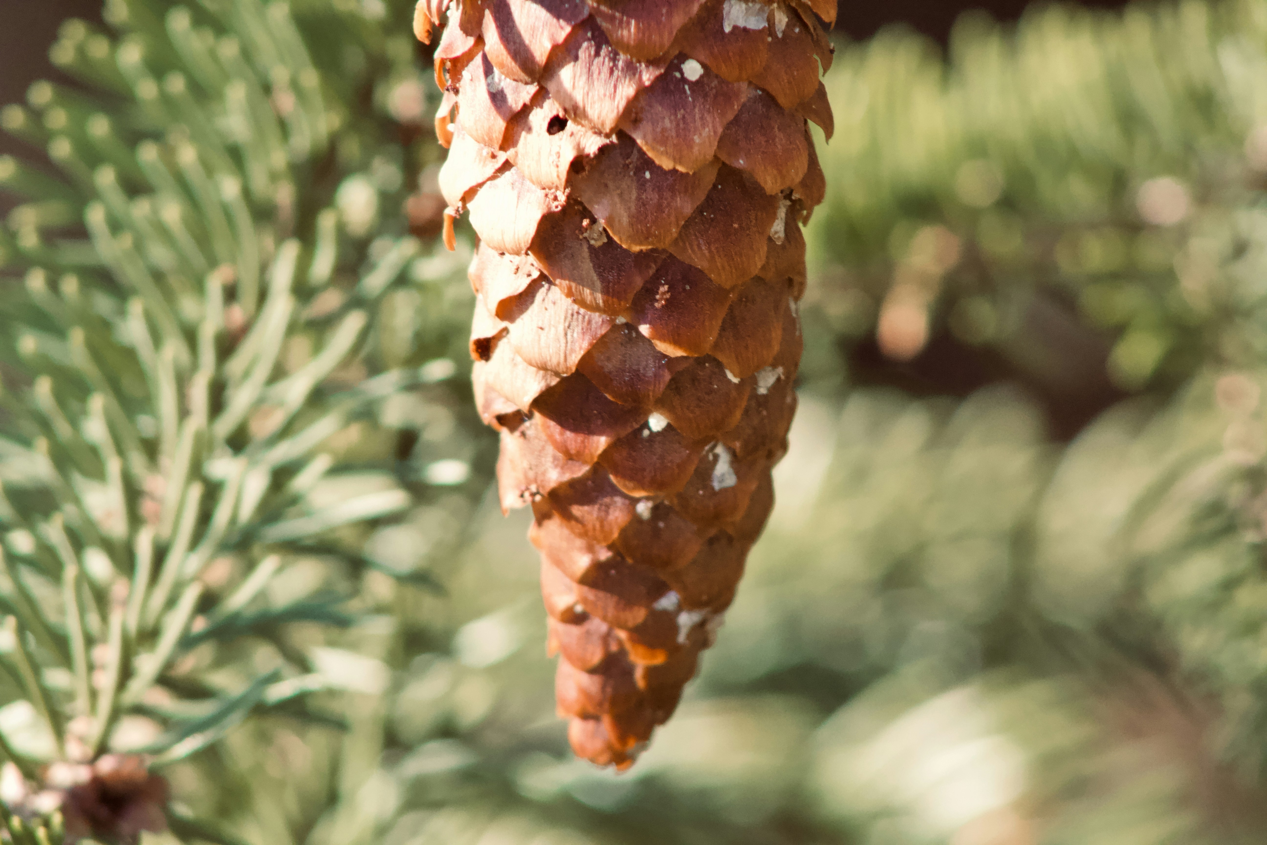 Photo by jaimedantas