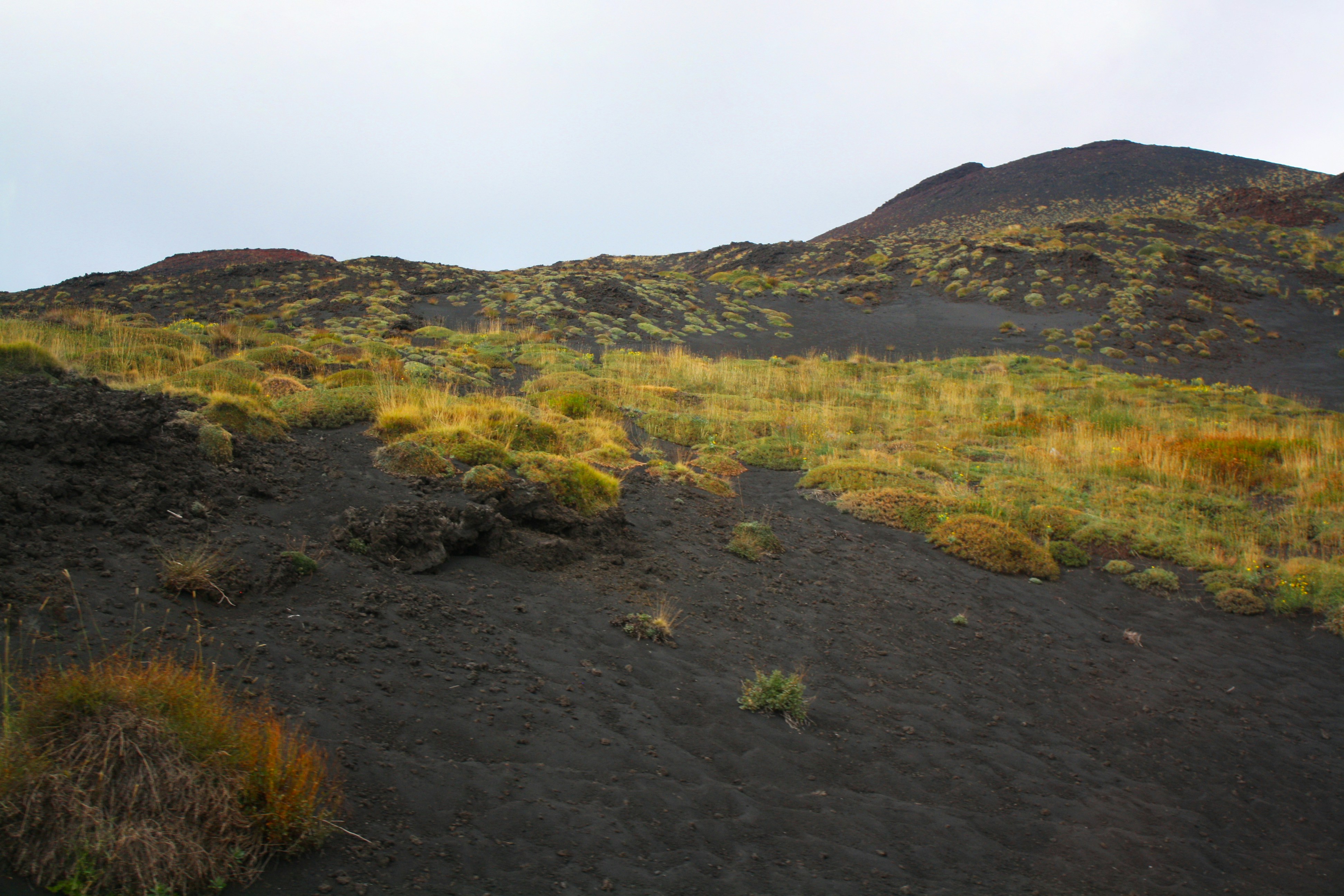 Conservation Challenges in Volcanic Habitats (image credits: unsplash)
