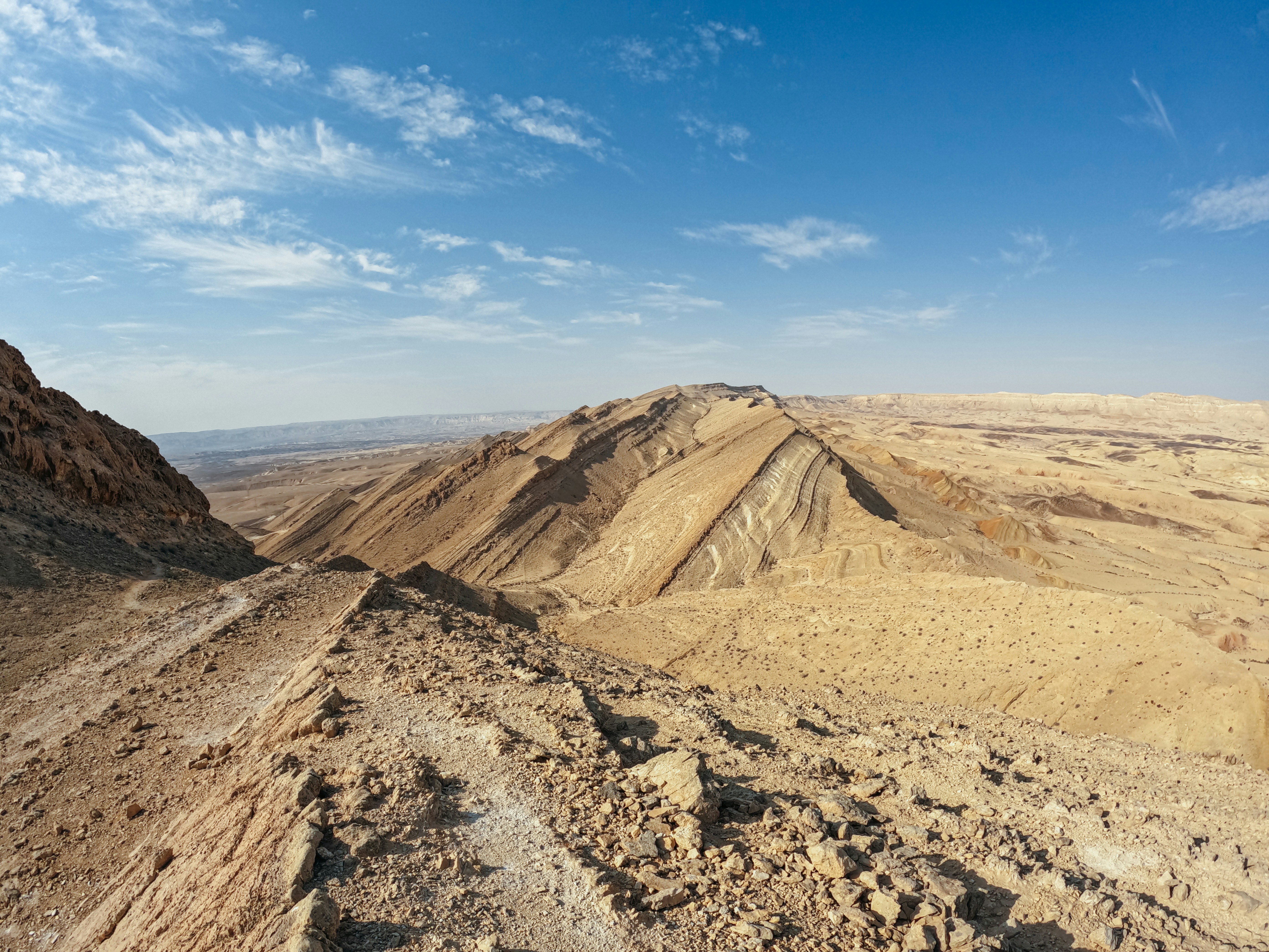 A view of a desert with a mountain in the background