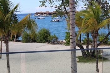 A serene beach scene with palm trees in the foreground and a sandy shoreline. The blue ocean extends into the background, where luxurious overwater bungalows are visible. A couple of boats are anchored near the bungalows, creating a peaceful and relaxing atmosphere.