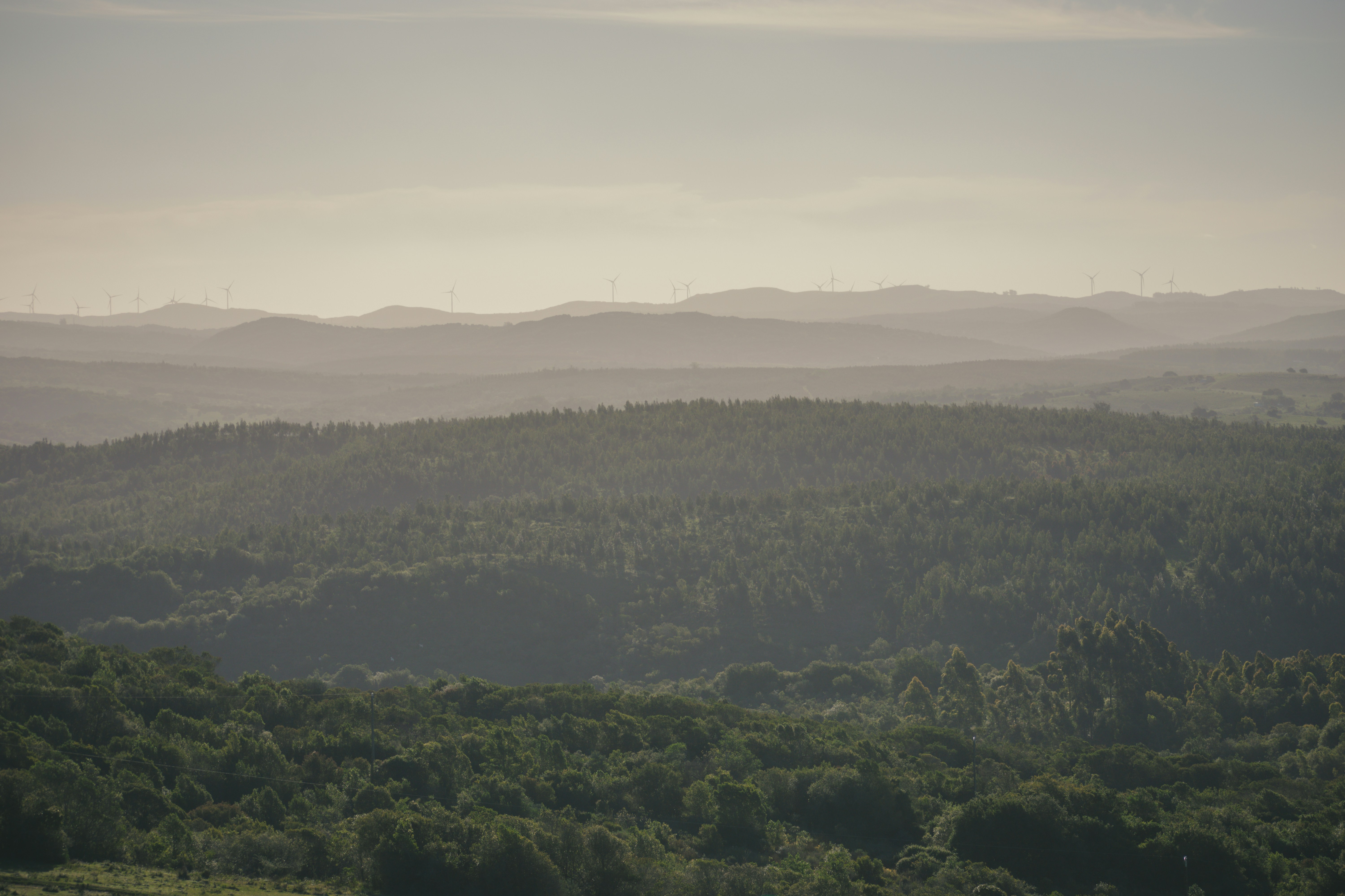 Photo by dieguitomrb