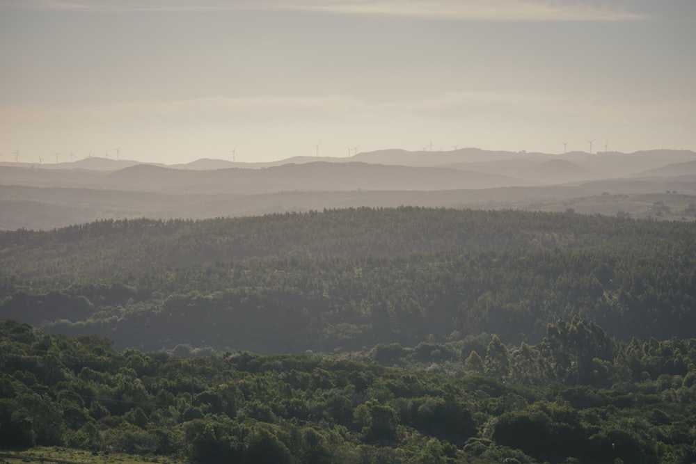 Blick auf eine Bergkette mit Bäumen im Vordergrund