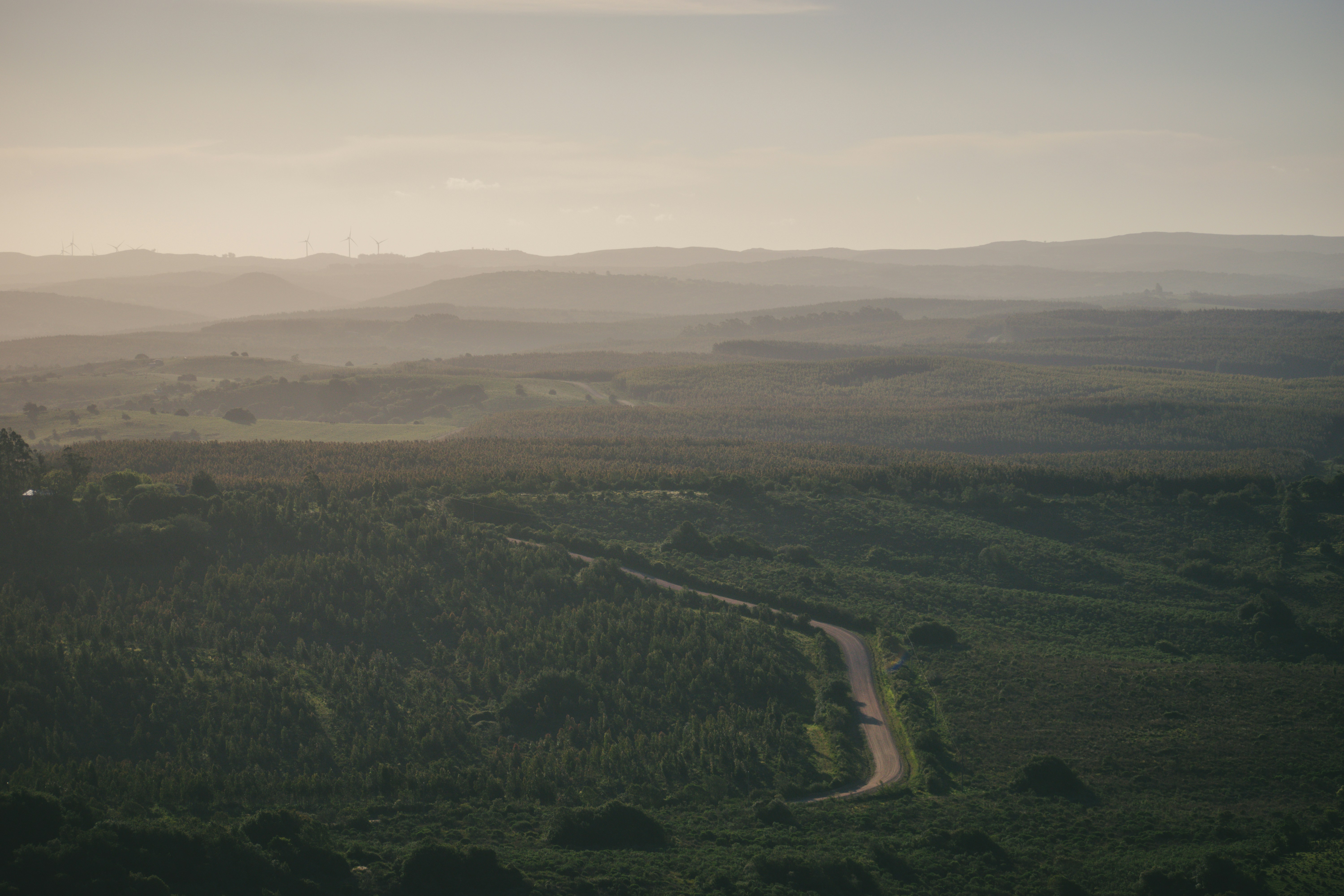 Photo by dieguitomrb