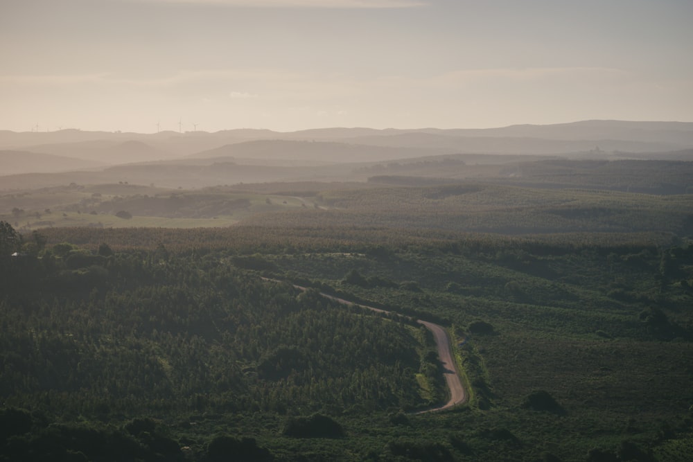 a road winding through a lush green valley