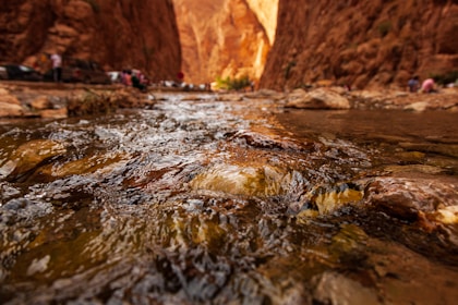 a group of people standing in a canyon next to a river