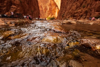 a group of people standing in a canyon next to a river