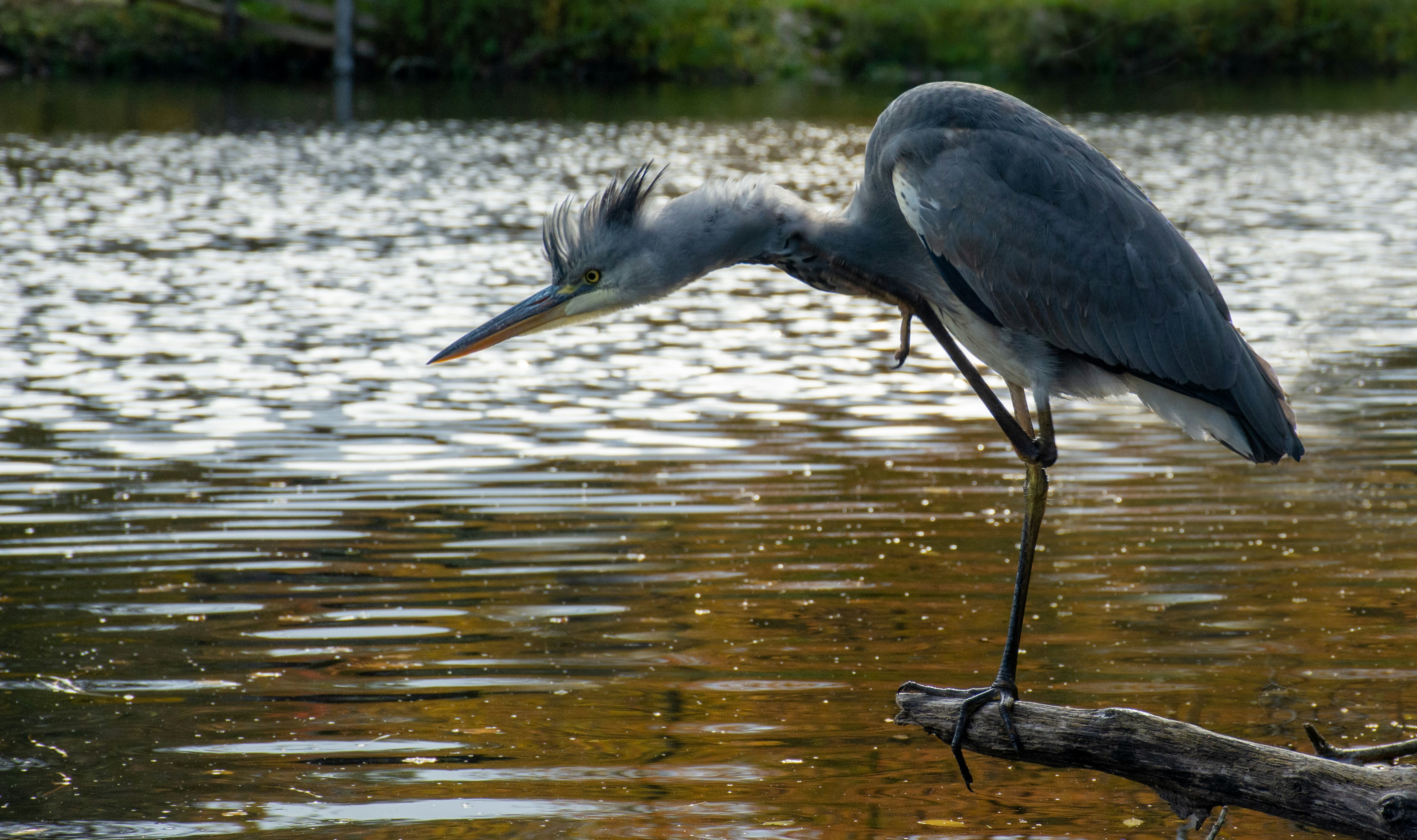 Photo by leiflinding