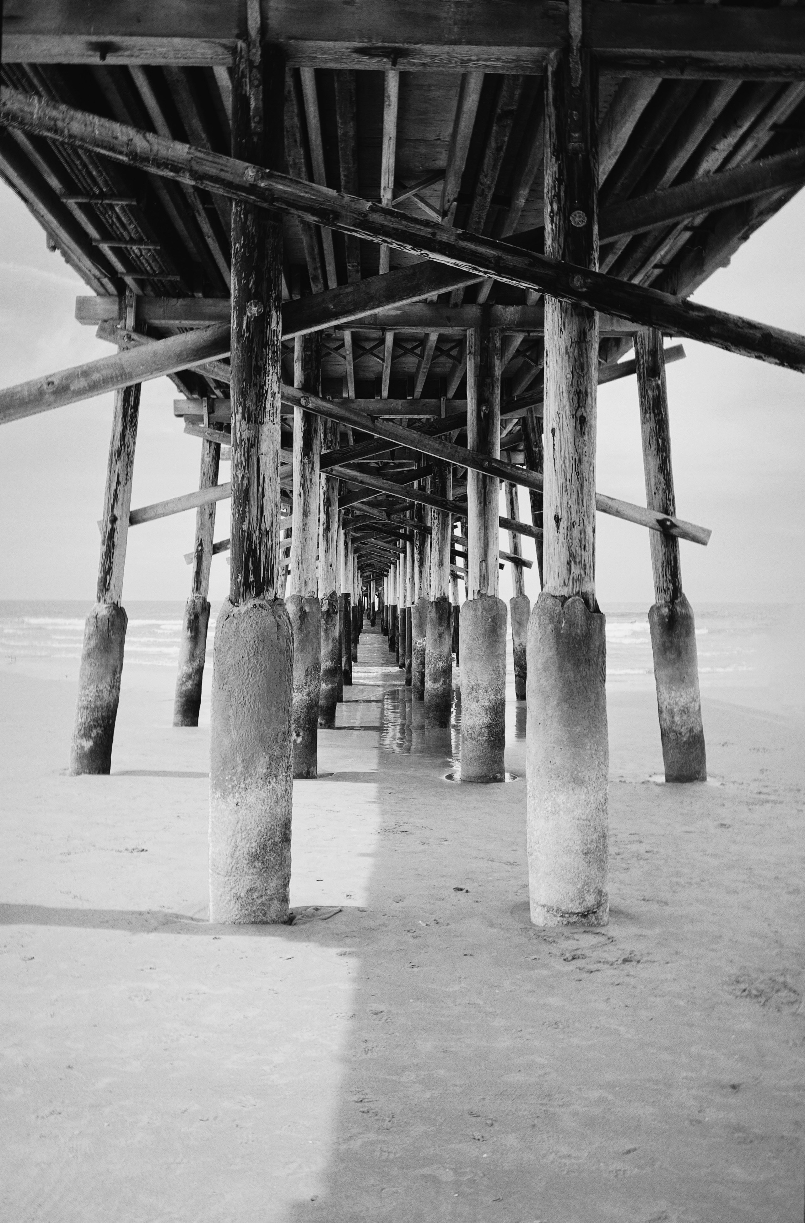 Photo by hesterqiang