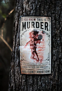 a sign on a tree that says you know this is murder
