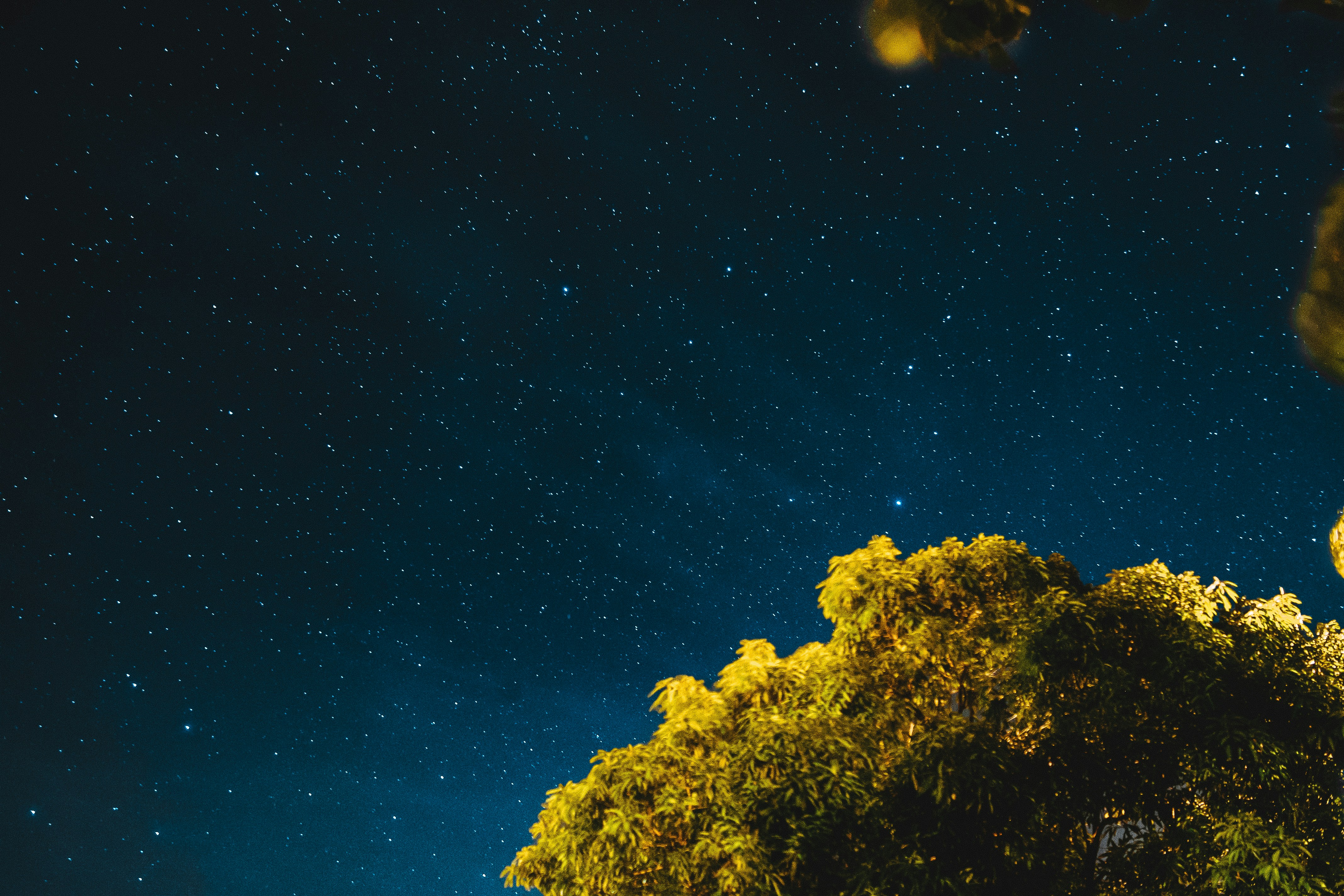 Photo by daniel_castellon20