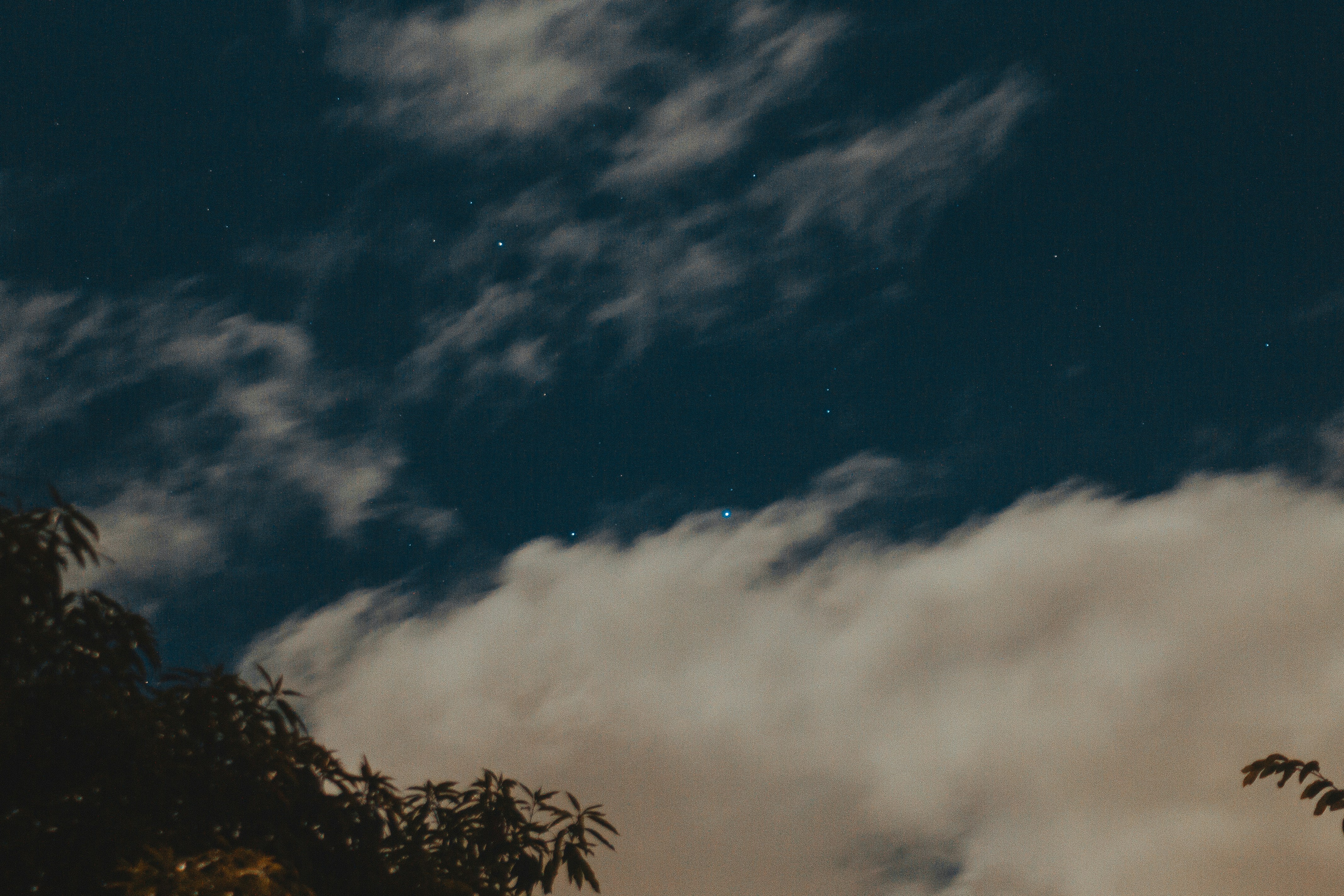 Photo by daniel_castellon20