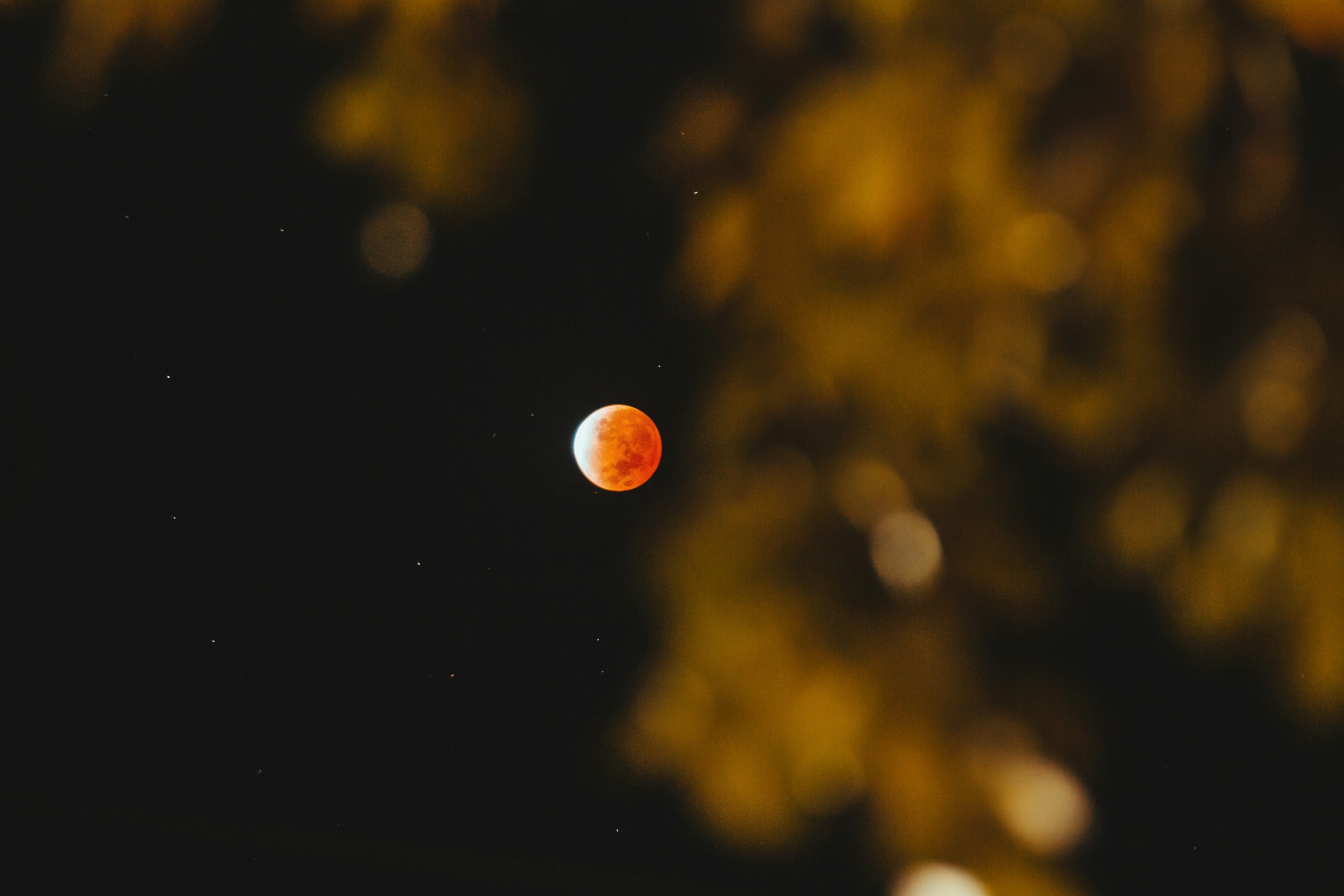 A full moon is seen in the night sky photo – Free Nature Image on Unsplash