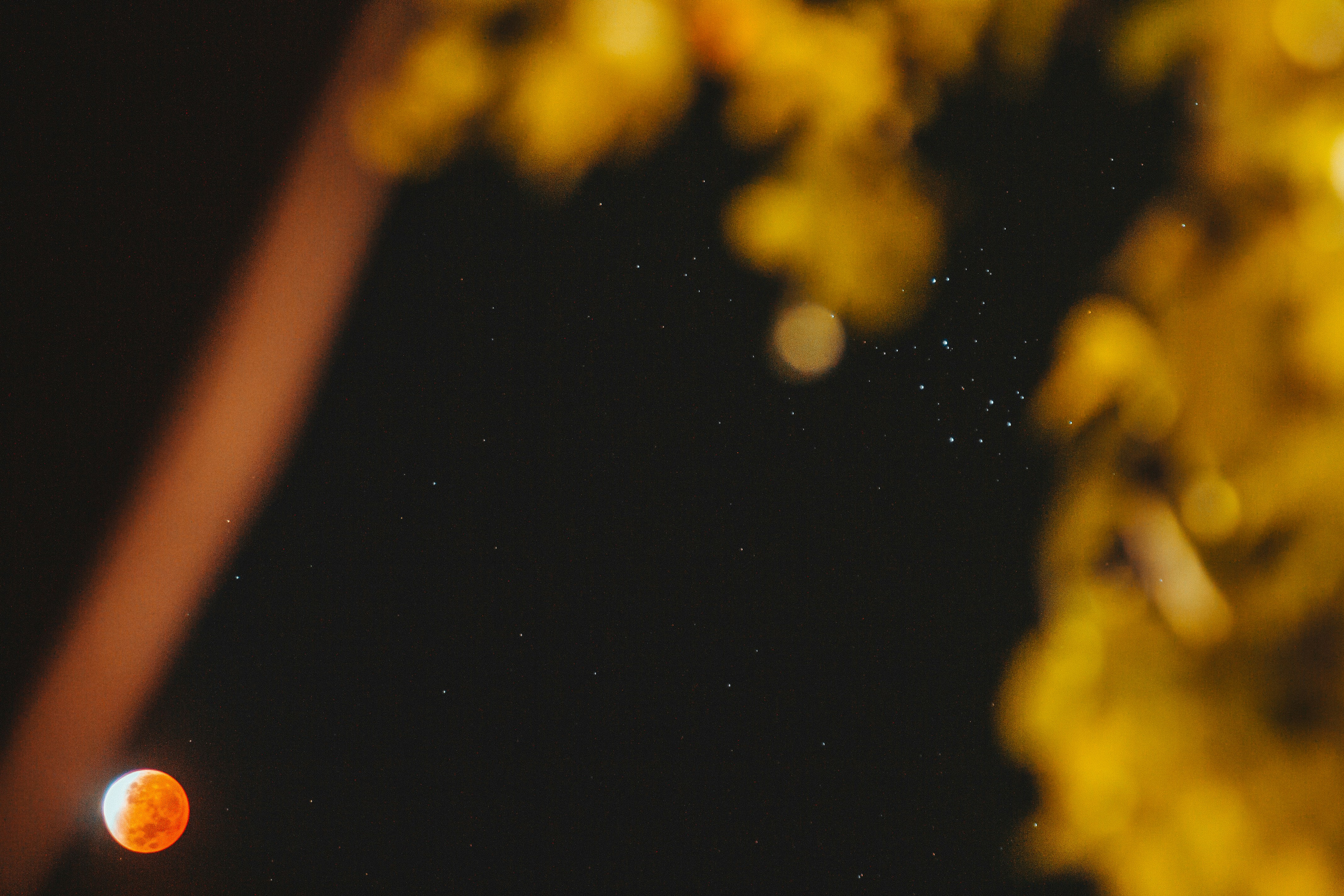 a view of the moon through a tree at night