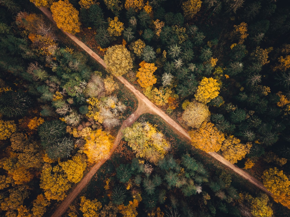 an aerial view of a road surrounded by trees