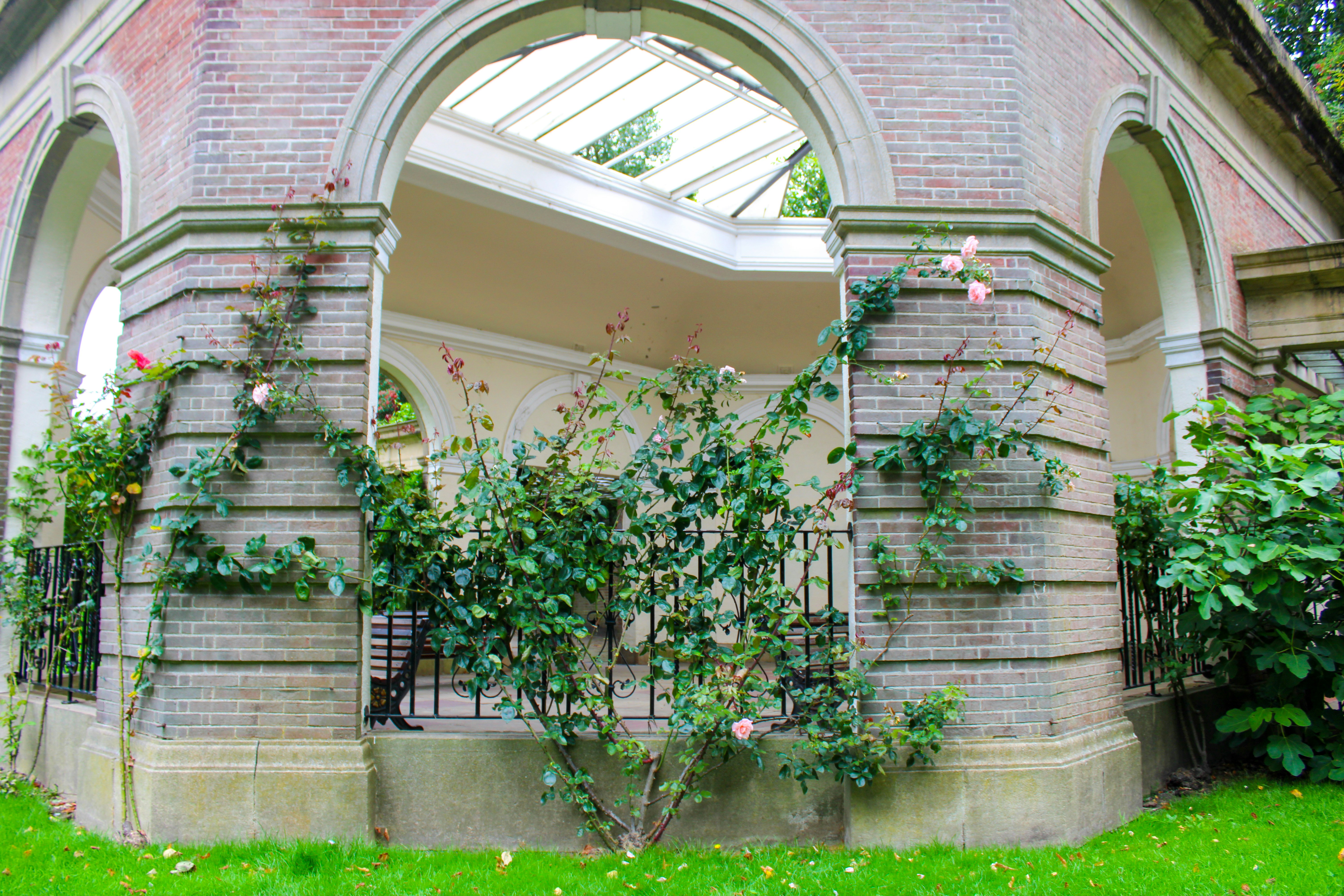 Photo by ebunoluwole