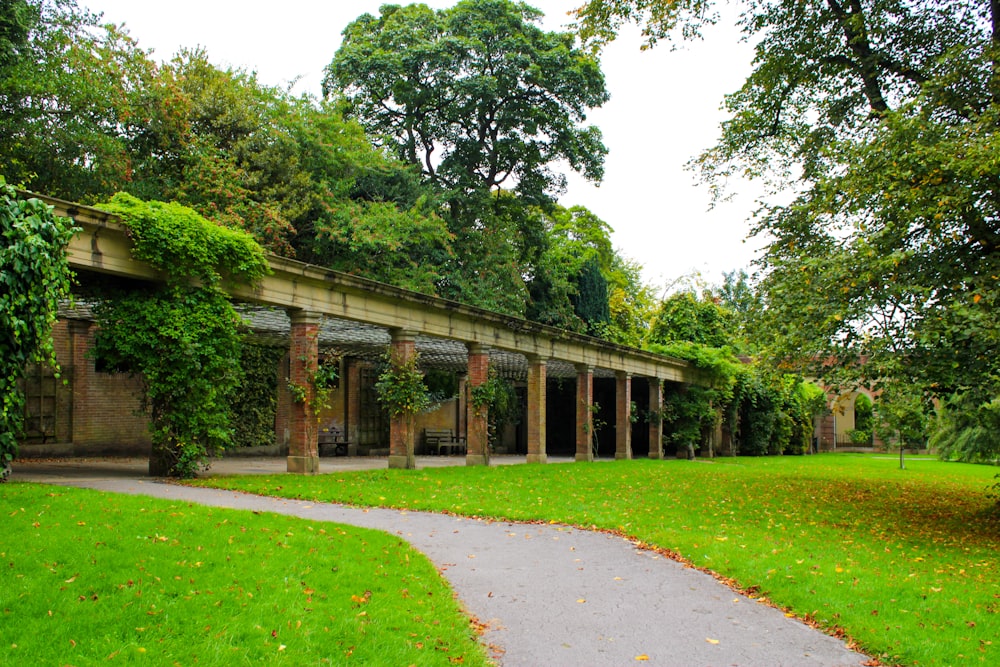 a walkway in the middle of a lush green park