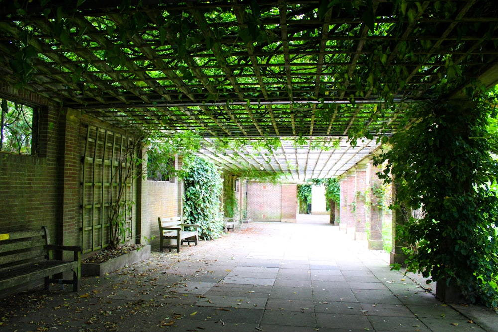 a bench under a pergolated roof in a park