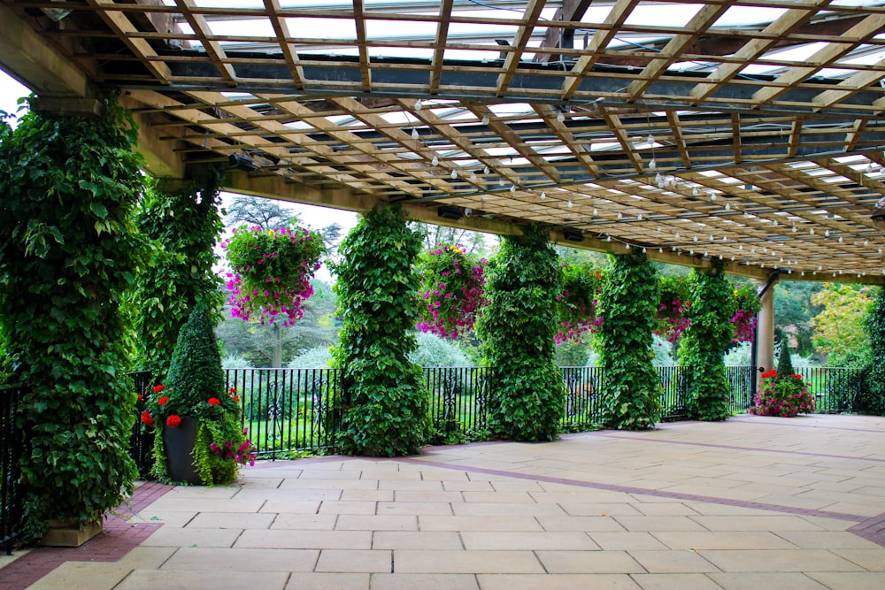 a patio covered in lots of green plants