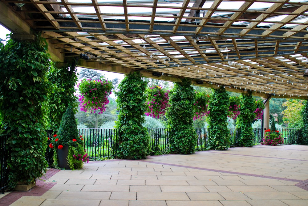 Un patio cubierto de muchas plantas verdes