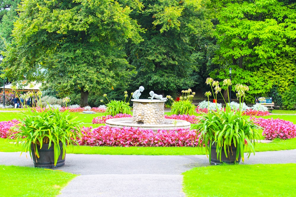 um parque com uma fonte cercada por flores e árvores