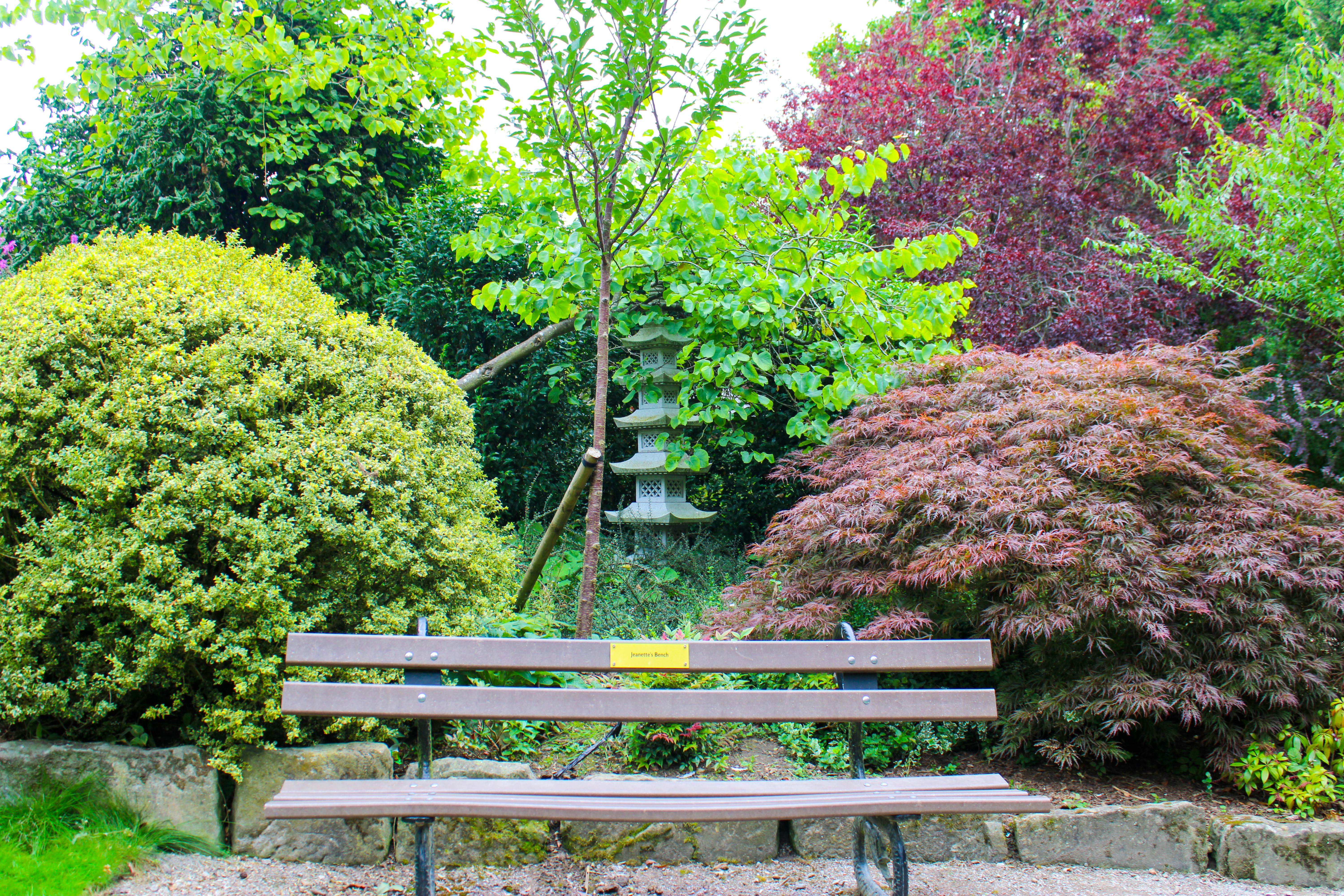 Photo by ebunoluwole