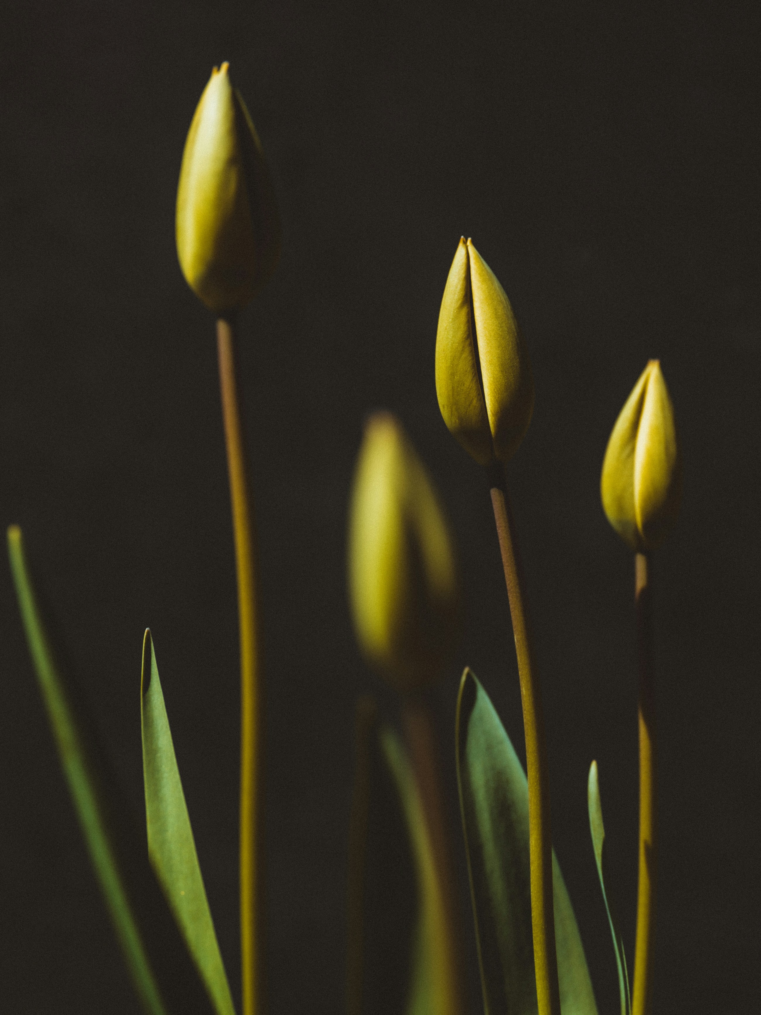 Photo by kierinsightarchives