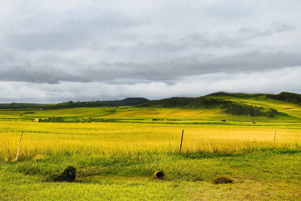 a grassy field with a fence and mountains in the background