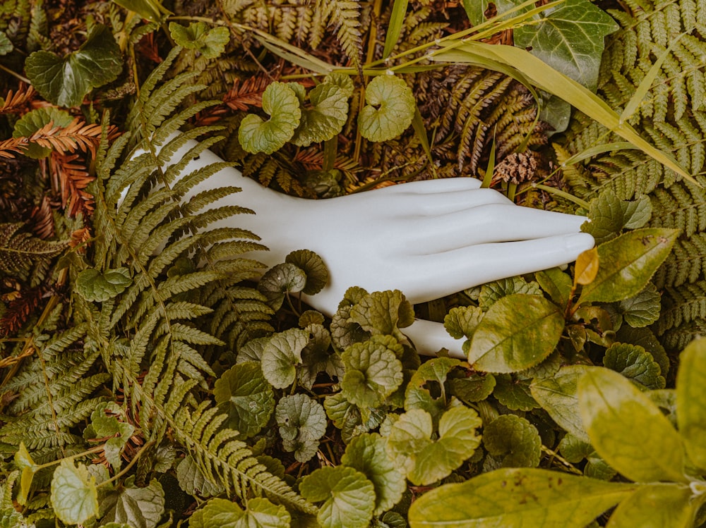 a fake hand is in the middle of some plants