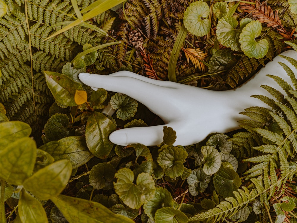 a white object laying on top of a lush green field