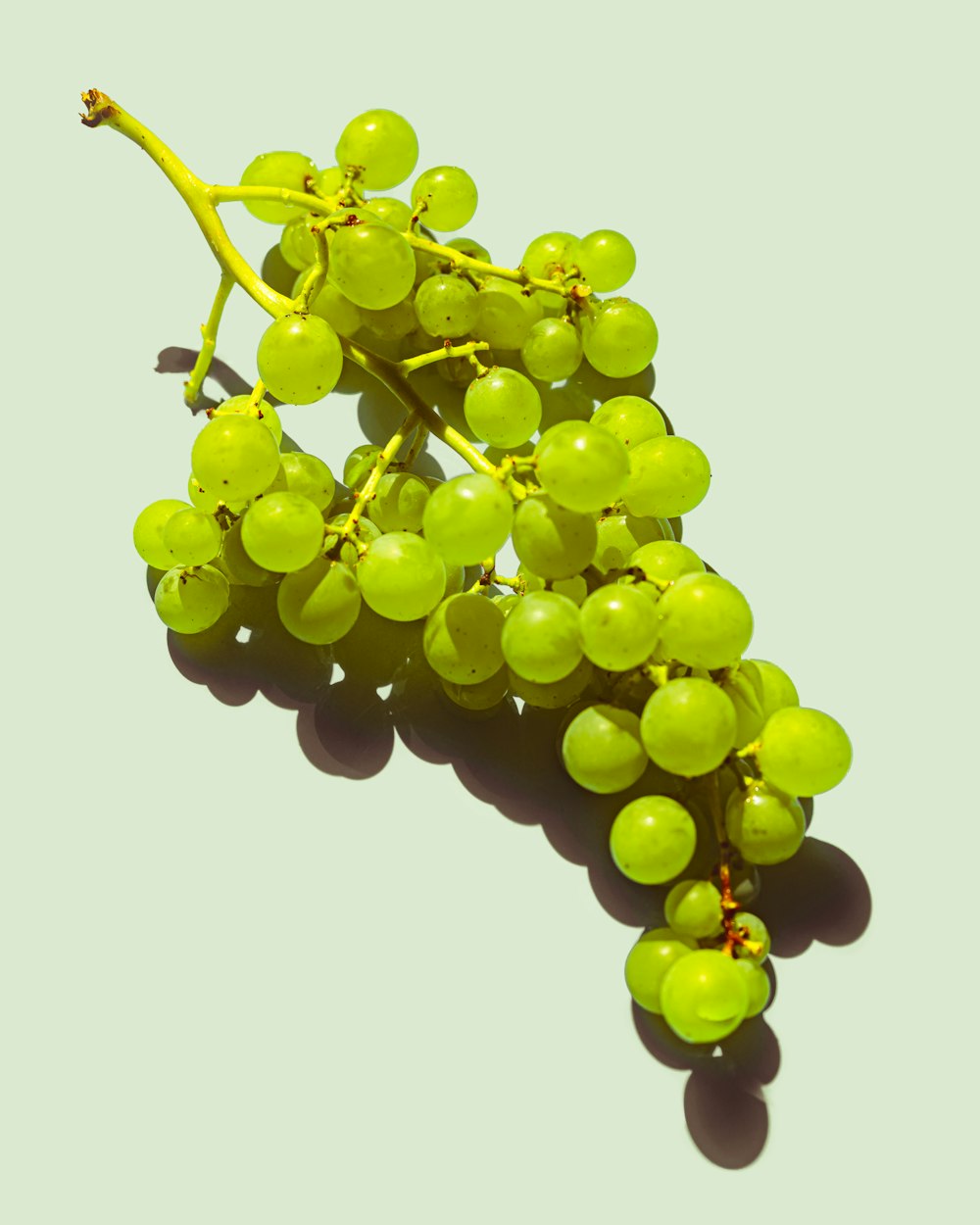 um cacho de uvas verdes sentado em cima de uma mesa