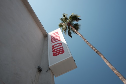 A tall palm tree stretches upward beside a building with a sign reading 'FLIGHT CLUB' in large red letters against a clear blue sky.