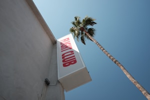 A tall palm tree stretches upward beside a building with a sign reading 'FLIGHT CLUB' in large red letters against a clear blue sky.