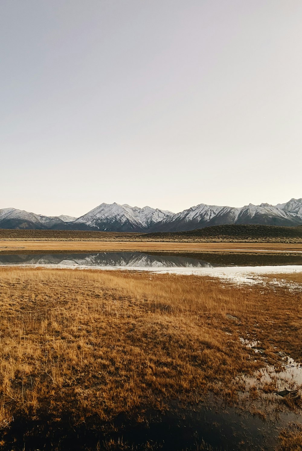 a field with a body of water and mountains in the background