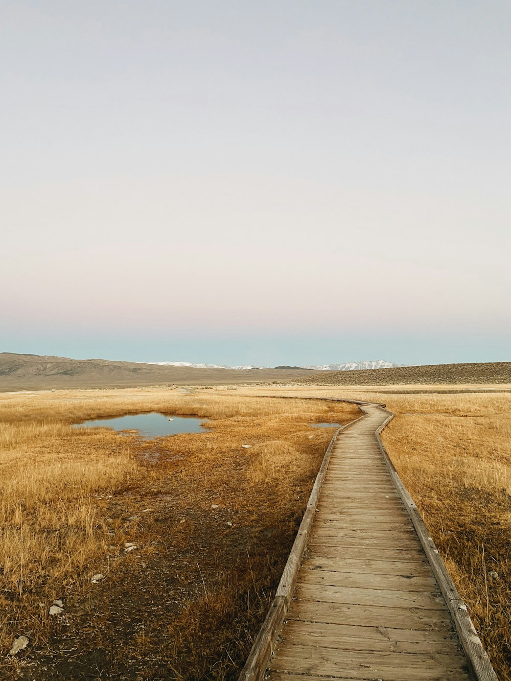 a wooden path in a field with a puddle of water