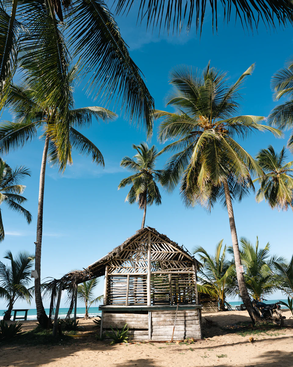 Serene tropical beach scene features wooden hut nestled among palm trees and vegetation