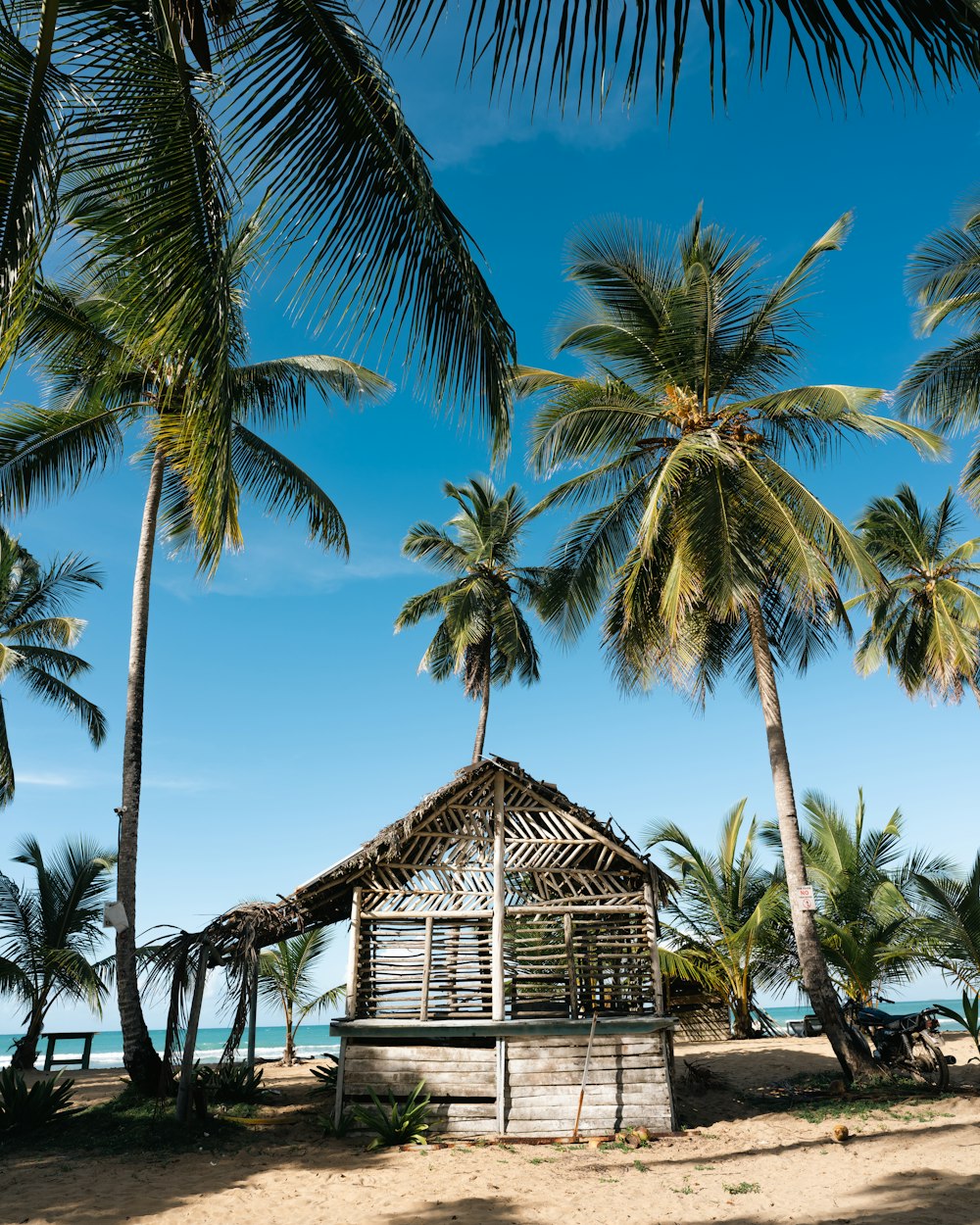 a hut on the beach surrounded by palm trees
