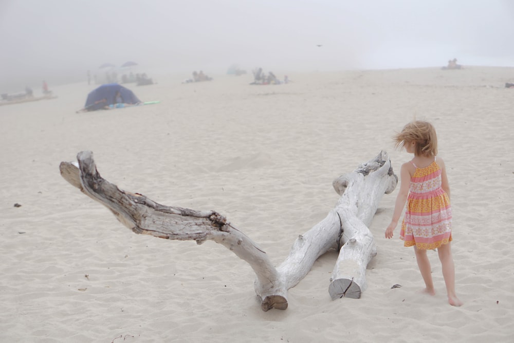a little girl standing next to a driftwood on a beach