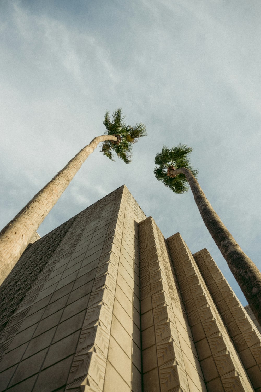 a tall building with two palm trees in front of it