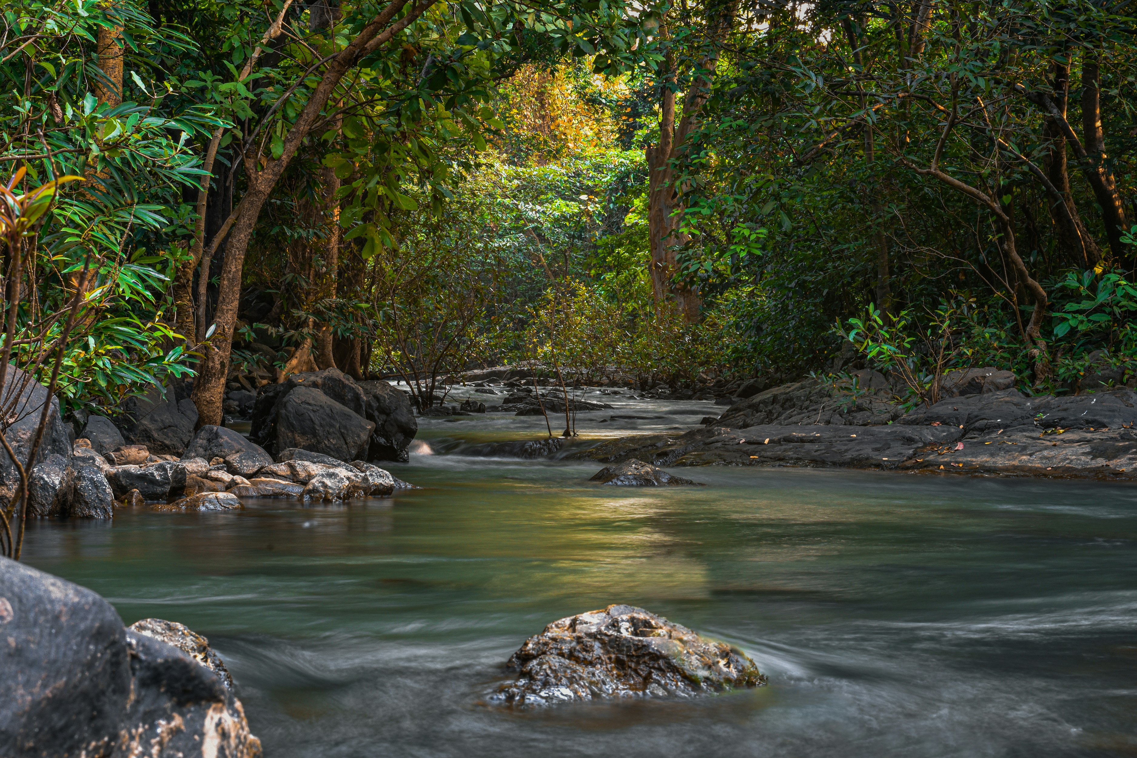 Photo by alvin_photo