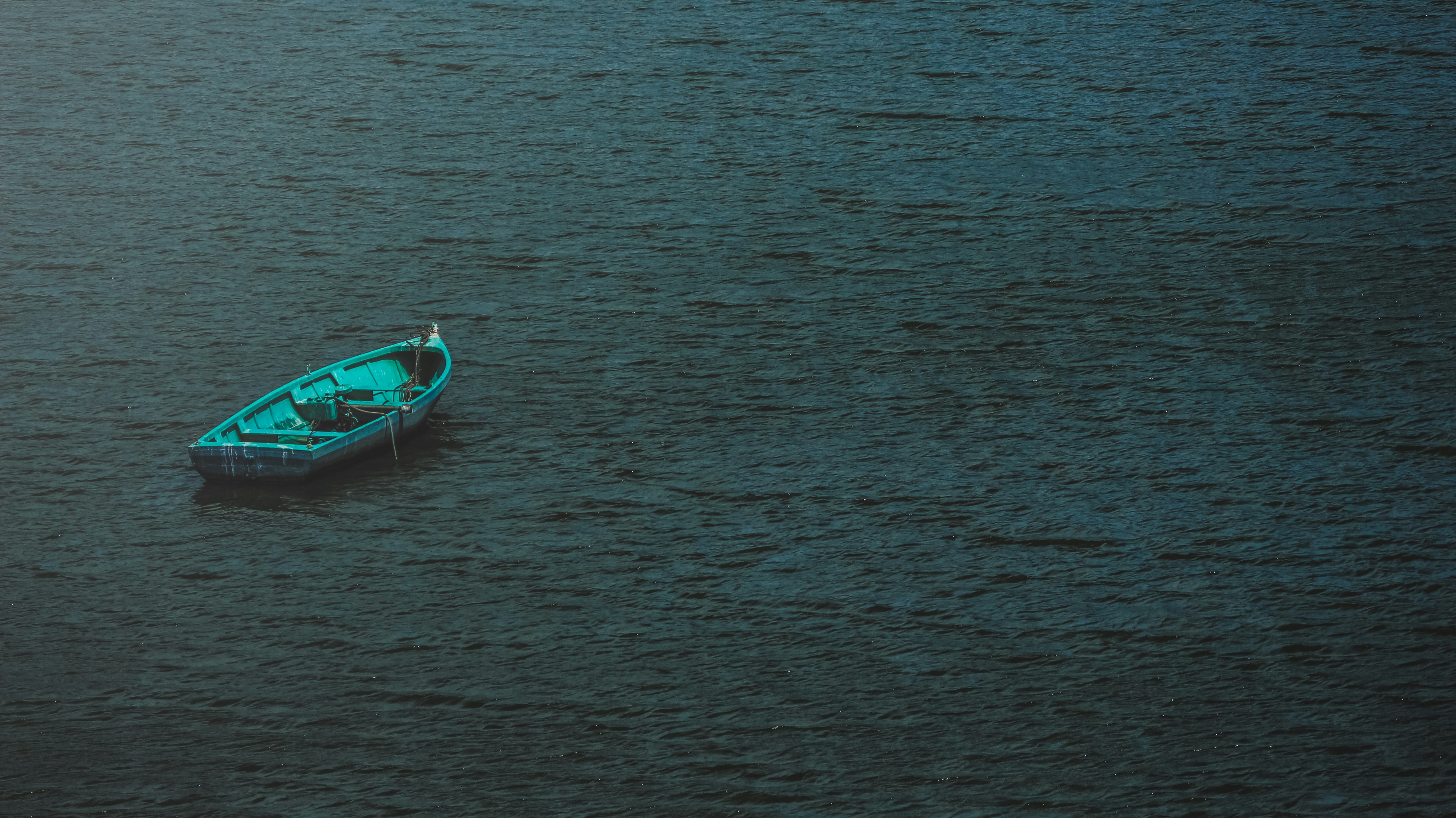 Photo by aniljose1997