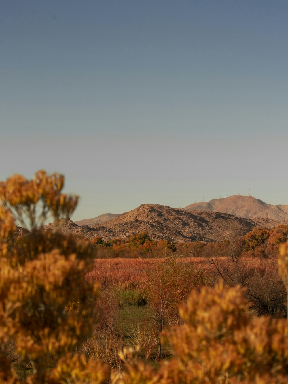 a view of a mountain range in the distance