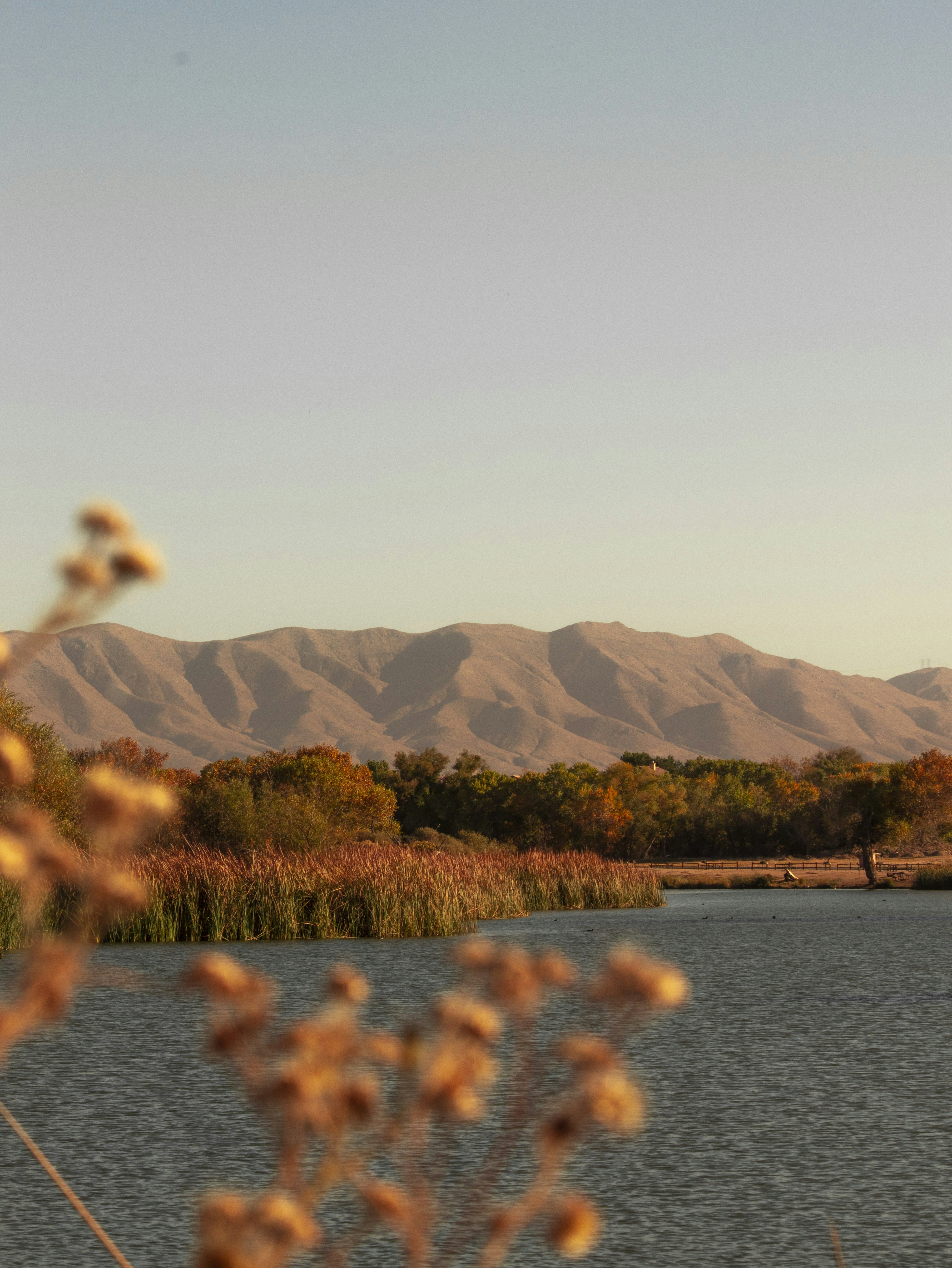 Lake with fall trees and mountains at Mojave Narrows Regional Park in Victorville