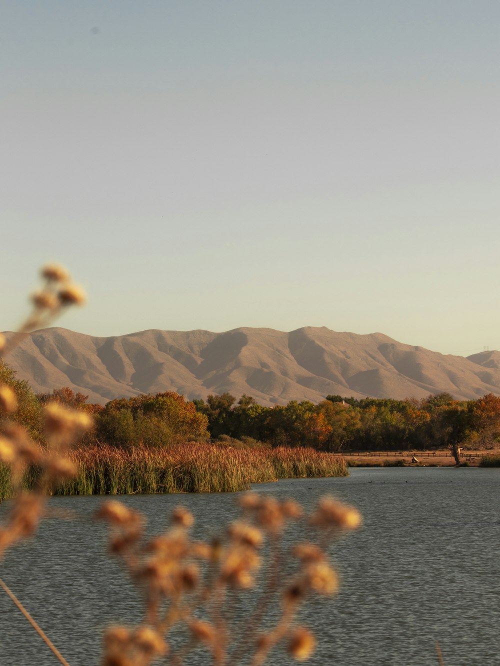 a body of water with mountains in the background