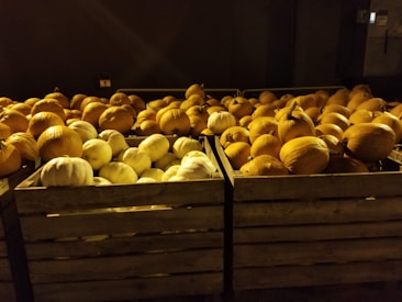 A large collection of pumpkins and white gourds is neatly arranged in wooden crates. The lighting is dim, casting a yellowish glow over the scene, highlighting the textures and round shapes of the pumpkins.