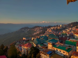 a view of a city with mountains in the background