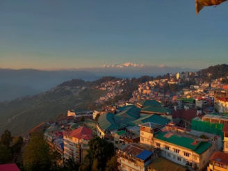 a view of a city with mountains in the background