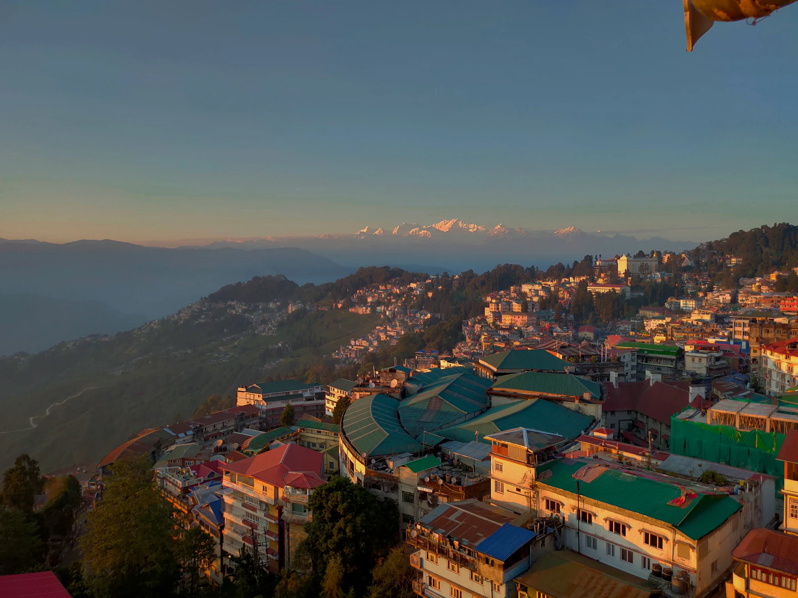 Darjeeling's rooftops in soft early light, with Kanchenjunga faintly pink on the northern skyline